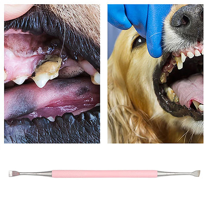 1Pc Pet Dog Tooth Cleaner Stainless Steel Tartar Removers Scraper Pet Oral Cleaning Tools Double Headed Tartar Accessories